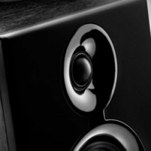 DJ MONITOR 5